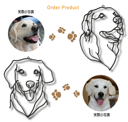 Order Product